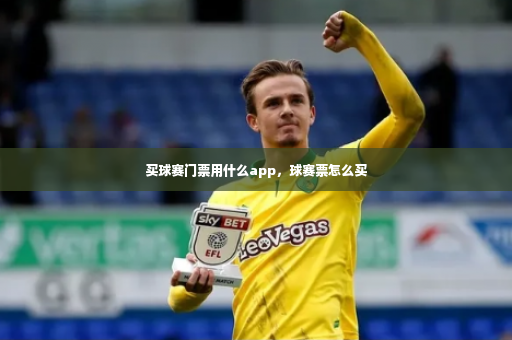 买球赛门票用什么app，球赛票怎么买-第3张图片-体育博彩