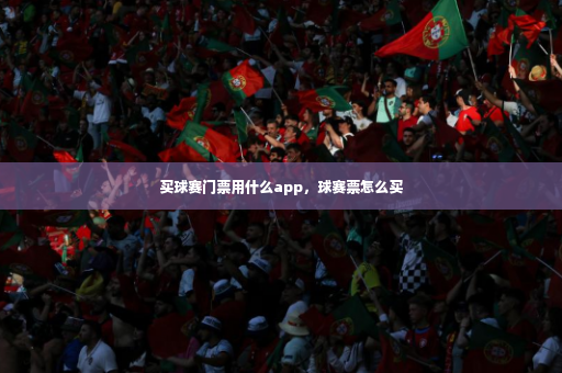 买球赛门票用什么app，球赛票怎么买