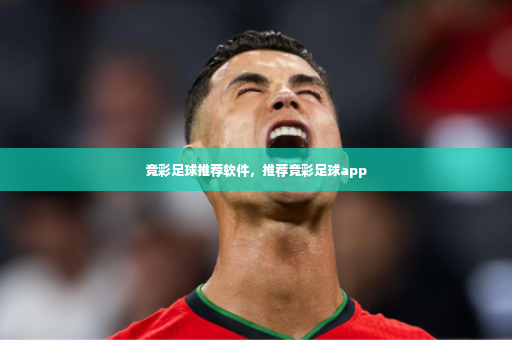 竞彩足球推荐软件，推荐竞彩足球app-第4张图片-体育博彩