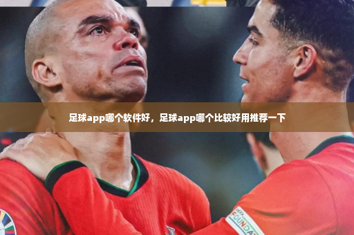 足球app哪个软件好，足球app哪个比较好用推荐一下-第4张图片-体育博彩