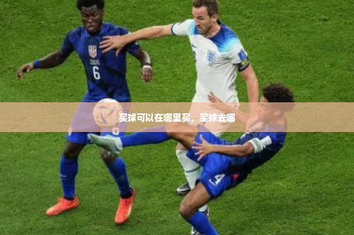 买球可以在哪里买，买球去哪-第2张图片-体育博彩