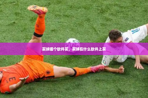 买球哪个软件买，买球在什么软件上买-第2张图片-体育博彩