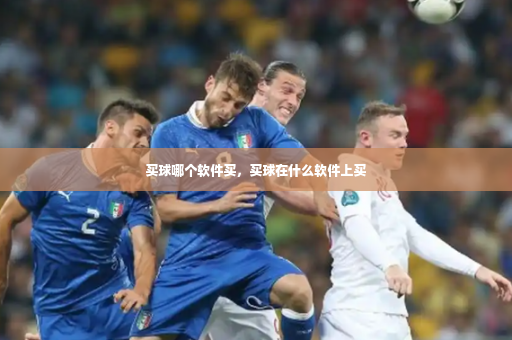 买球哪个软件买，买球在什么软件上买