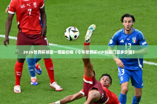 2026世界杯球票一等座价格（今年世界杯VIP包厢门票多少钱）-第4张图片-体育博彩