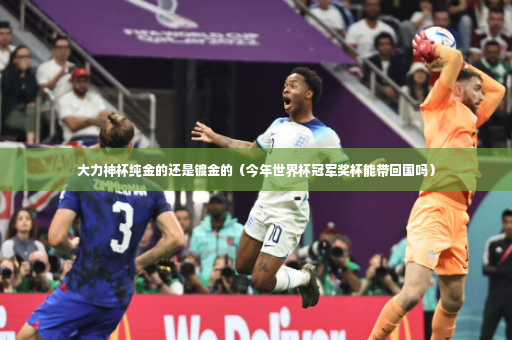 大力神杯纯金的还是镀金的（今年世界杯冠军奖杯能带回国吗）-第3张图片-体育博彩