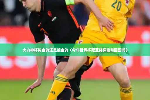 大力神杯纯金的还是镀金的（今年世界杯冠军奖杯能带回国吗）