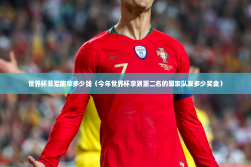 世界杯亚军能拿多少钱（今年世界杯拿到第二名的国家队发多少奖金）-第3张图片-体育博彩