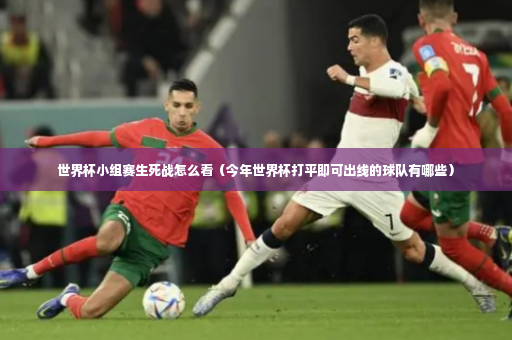 世界杯小组赛生死战怎么看（今年世界杯打平即可出线的球队有哪些）-第4张图片-体育博彩