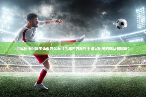 世界杯小组赛生死战怎么看（今年世界杯打平即可出线的球队有哪些）