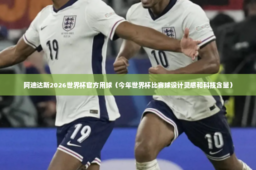 阿迪达斯2026世界杯官方用球（今年世界杯比赛球设计灵感和科技含量）-第3张图片-体育博彩