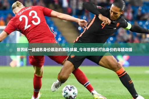 世界杯一战成名身价暴涨的黑马球星_今年世界杯打出身价的年轻边锋-第2张图片-体育博彩