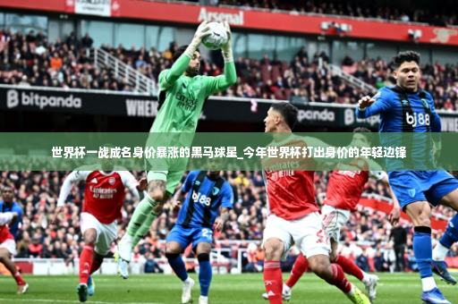 世界杯一战成名身价暴涨的黑马球星_今年世界杯打出身价的年轻边锋-第3张图片-体育博彩