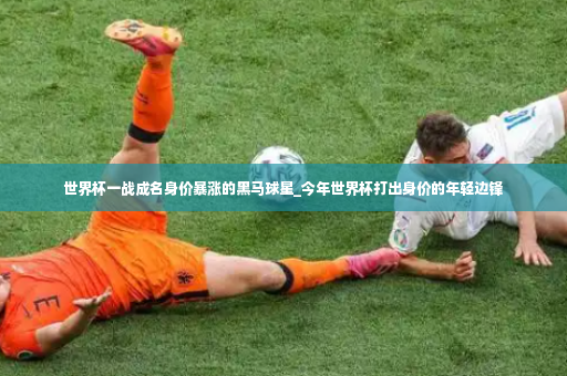 世界杯一战成名身价暴涨的黑马球星_今年世界杯打出身价的年轻边锋-第4张图片-体育博彩