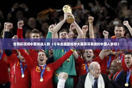 世界杯现场中国球迷人数（今年去美国加拿大墨西哥看球的中国人多吗）-第2张图片-体育博彩