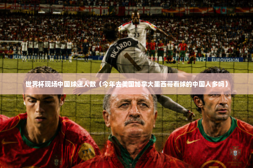 世界杯现场中国球迷人数（今年去美国加拿大墨西哥看球的中国人多吗）