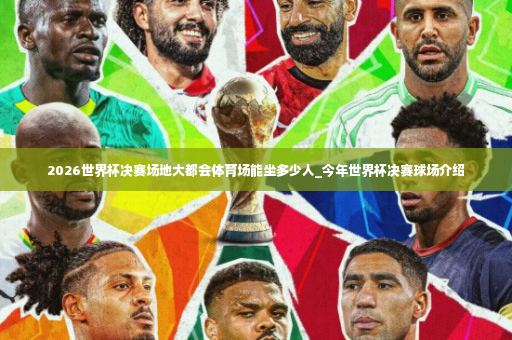 2026世界杯决赛场地大都会体育场能坐多少人_今年世界杯决赛球场介绍-第2张图片-体育博彩