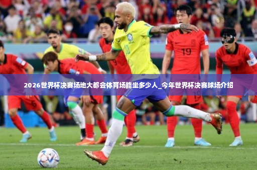 2026世界杯决赛场地大都会体育场能坐多少人_今年世界杯决赛球场介绍-第3张图片-体育博彩
