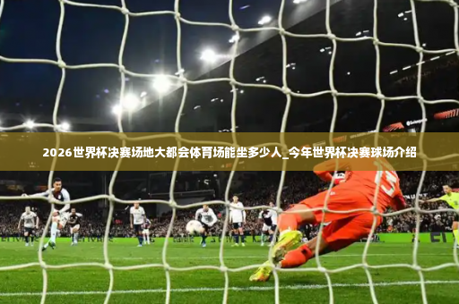 2026世界杯决赛场地大都会体育场能坐多少人_今年世界杯决赛球场介绍-第4张图片-体育博彩