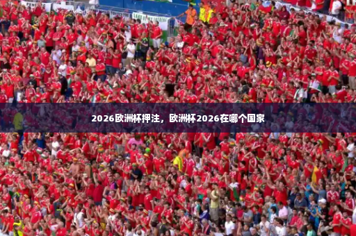 2026欧洲杯押注,欧洲杯2026在哪个国家-第2张图片-体育博彩 2026欧洲杯押注,欧洲杯2026在哪个国家-第2张图片-体育博彩