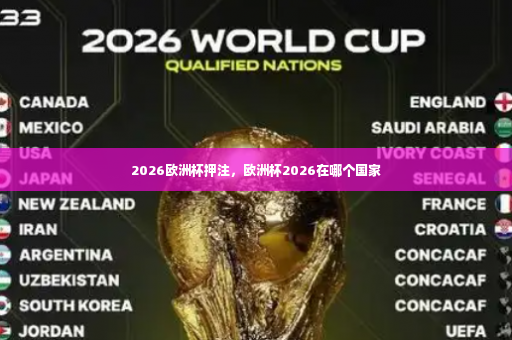 2026欧洲杯押注，欧洲杯2026在哪个国家