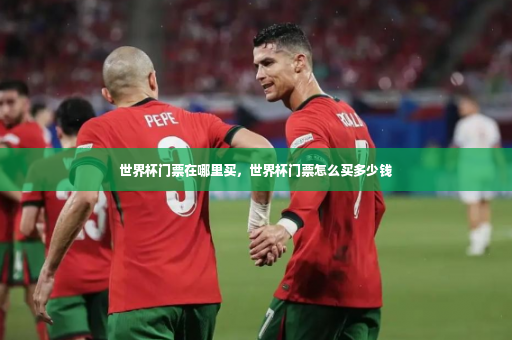 世界杯门票在哪里买，世界杯门票怎么买多少钱-第2张图片-体育博彩