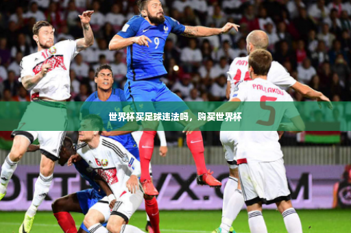 世界杯买足球违法吗，购买世界杯-第2张图片-体育博彩