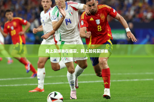 网上买球赛在哪买，网上如何买球赛