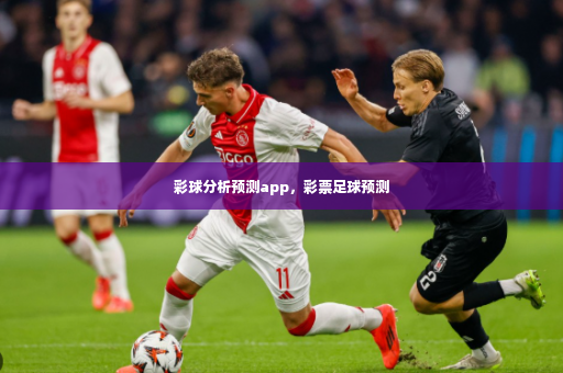彩球分析预测app，彩票足球预测-第3张图片-体育博彩