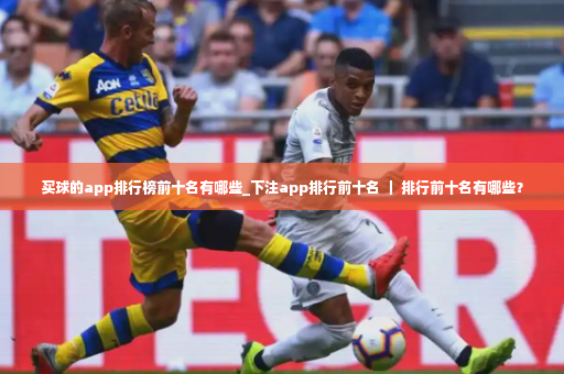 买球的app排行榜前十名有哪些_下注app排行前十名 ｜ 排行前十名有哪些？-第3张图片-体育博彩