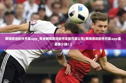 网赌游戏软件开发app_专业网赌游戏软件定制开发公司(网赌游戏软件开发app需要多少钱？)-第3张图片-体育博彩