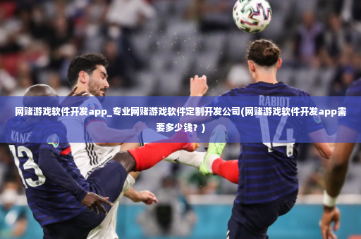 网赌游戏软件开发app_专业网赌游戏软件定制开发公司(网赌游戏软件开发app需要多少钱？)-第4张图片-体育博彩