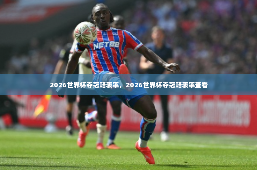 2026世界杯夺冠赔表率，2026世界杯夺冠赔表率查看