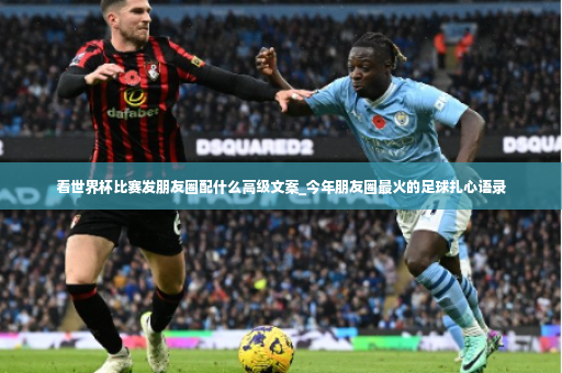 看世界杯比赛发朋友圈配什么高级文案_今年朋友圈最火的足球扎心语录-第4张图片-体育博彩