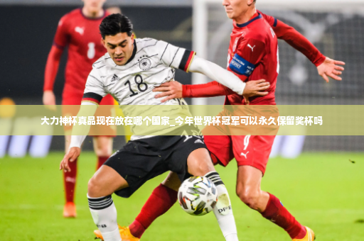 大力神杯真品现在放在哪个国家_今年世界杯冠军可以永久保留奖杯吗-第3张图片-体育博彩
