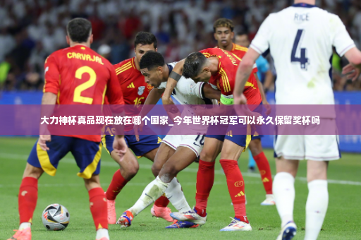 大力神杯真品现在放在哪个国家_今年世界杯冠军可以永久保留奖杯吗-第4张图片-体育博彩