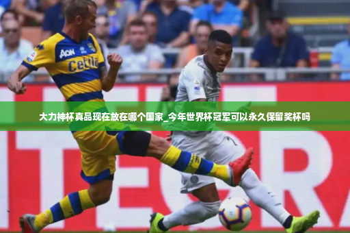 大力神杯真品现在放在哪个国家_今年世界杯冠军可以永久保留奖杯吗