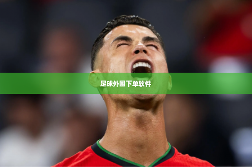 足球外围下单软件-第3张图片-体育博彩
