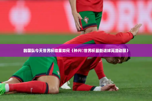 韩国队今天世界杯结果如何（孙兴慜世界杯最新进球高清动图）-第2张图片-体育博彩