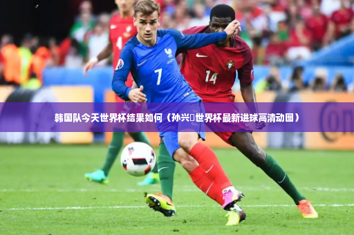 韩国队今天世界杯结果如何（孙兴慜世界杯最新进球高清动图）-第3张图片-体育博彩