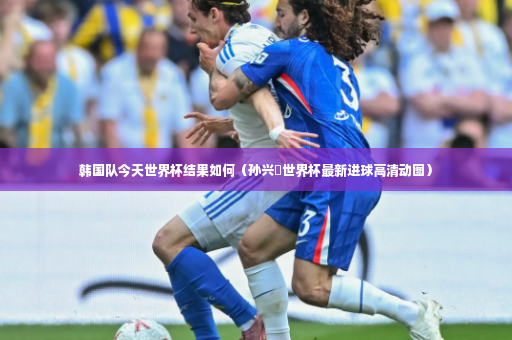 韩国队今天世界杯结果如何（孙兴慜世界杯最新进球高清动图）