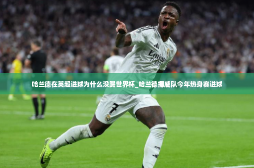 哈兰德在英超进球为什么没踢世界杯_哈兰德挪威队今年热身赛进球-第3张图片-体育博彩