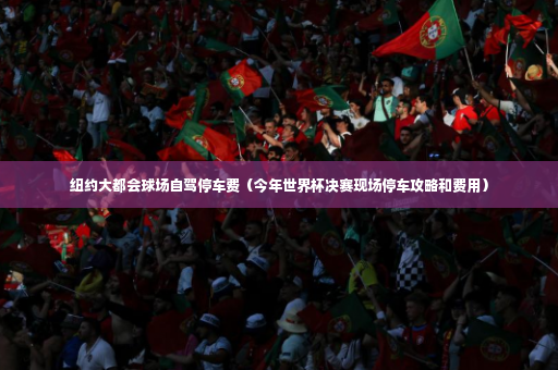 纽约大都会球场自驾停车费（今年世界杯决赛现场停车攻略和费用）-第2张图片-体育博彩