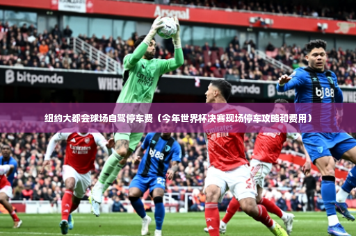 纽约大都会球场自驾停车费（今年世界杯决赛现场停车攻略和费用）-第4张图片-体育博彩