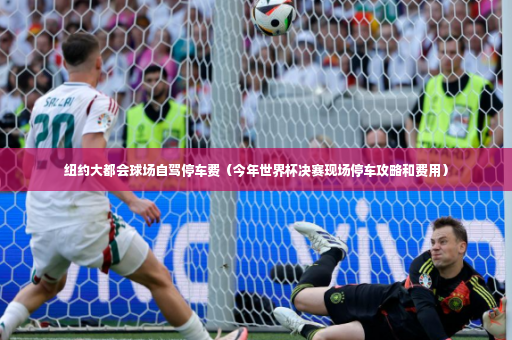 纽约大都会球场自驾停车费（今年世界杯决赛现场停车攻略和费用）