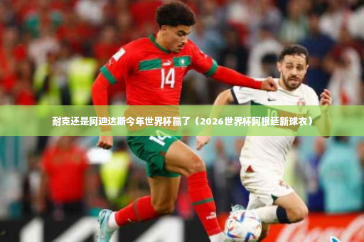 耐克还是阿迪达斯今年世界杯赢了（2026世界杯阿根廷新球衣）-第4张图片-体育博彩