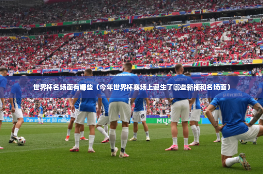 世界杯名场面有哪些（今年世界杯赛场上诞生了哪些新梗和名场面）-第3张图片-体育博彩