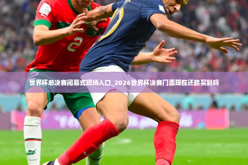世界杯总决赛闭幕式现场入口_2026世界杯决赛门票现在还能买到吗-第3张图片-体育博彩