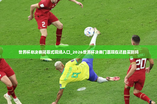 世界杯总决赛闭幕式现场入口_2026世界杯决赛门票现在还能买到吗-第4张图片-体育博彩