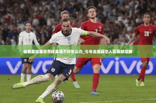 去看美加墨世界杯英语不好怎么办_今年去美籍华人区看球攻略-第3张图片-体育博彩