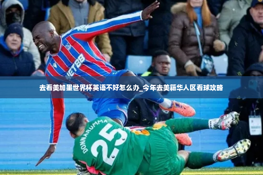 去看美加墨世界杯英语不好怎么办_今年去美籍华人区看球攻略-第4张图片-体育博彩